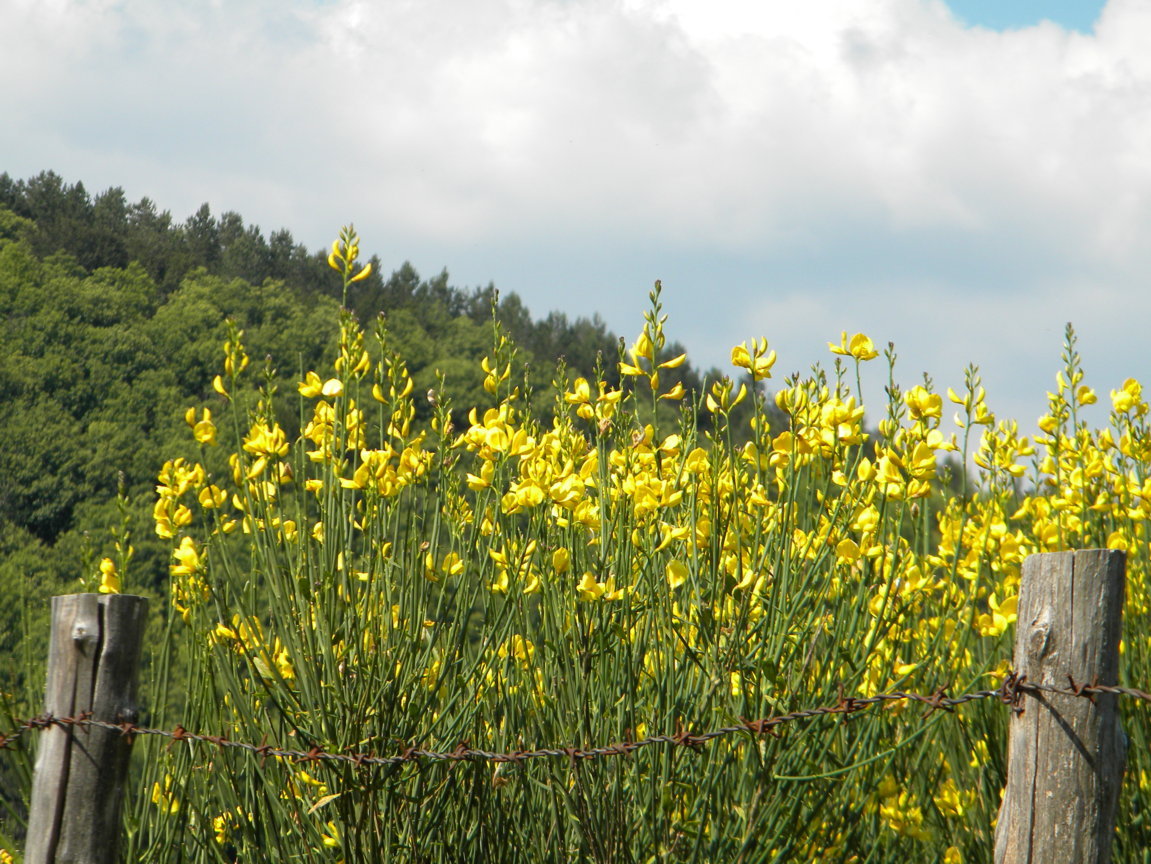 DSCN9566 .JPG
